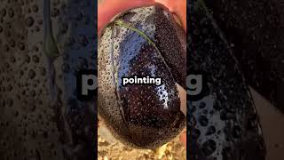 My Mom Facetimed Me Saying We Need To Talk Then Showed My Family In My Living Room.