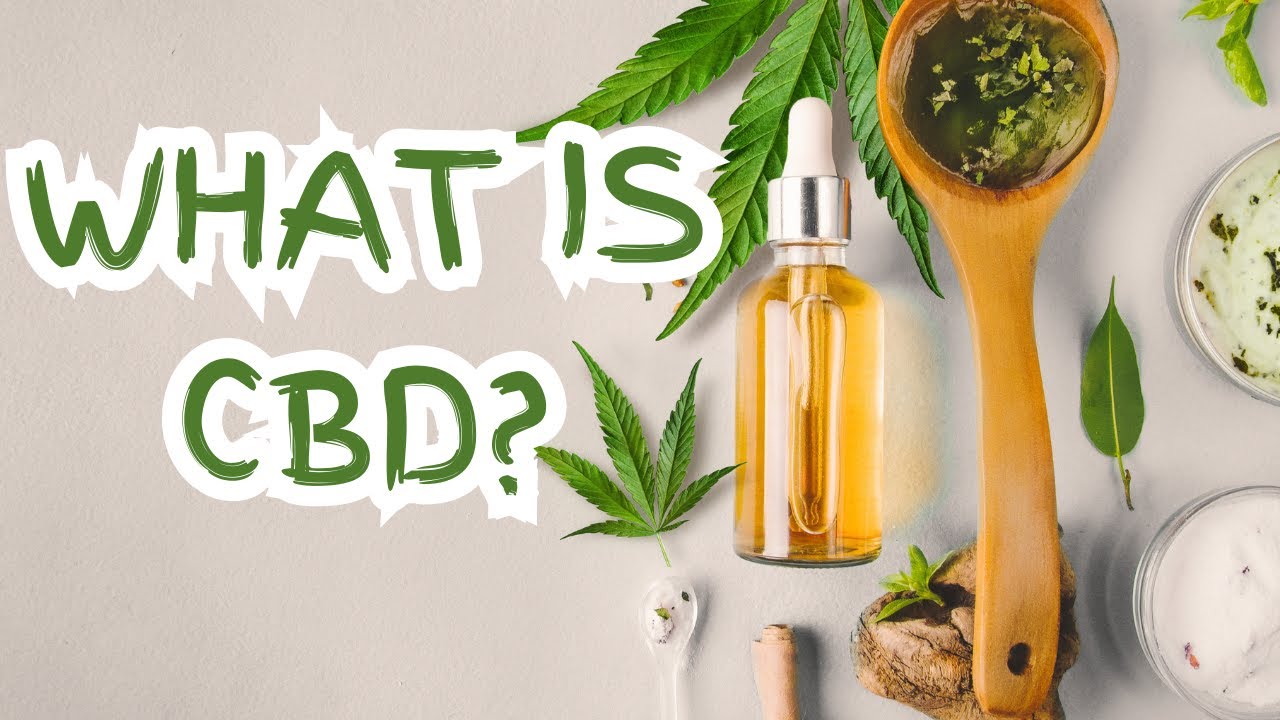 What Is CBD?: The Humorous Guide To It's Uses.