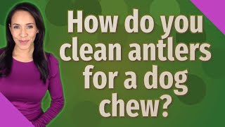 How do you clean antlers for a dog chew?