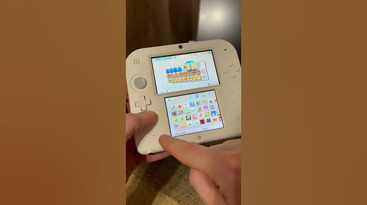The Flaw of the 2DS