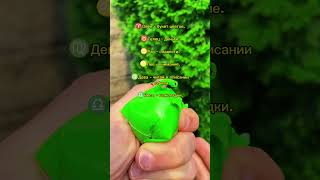 Лучший подарок для знаков зодиака! #знакизодиака #зз