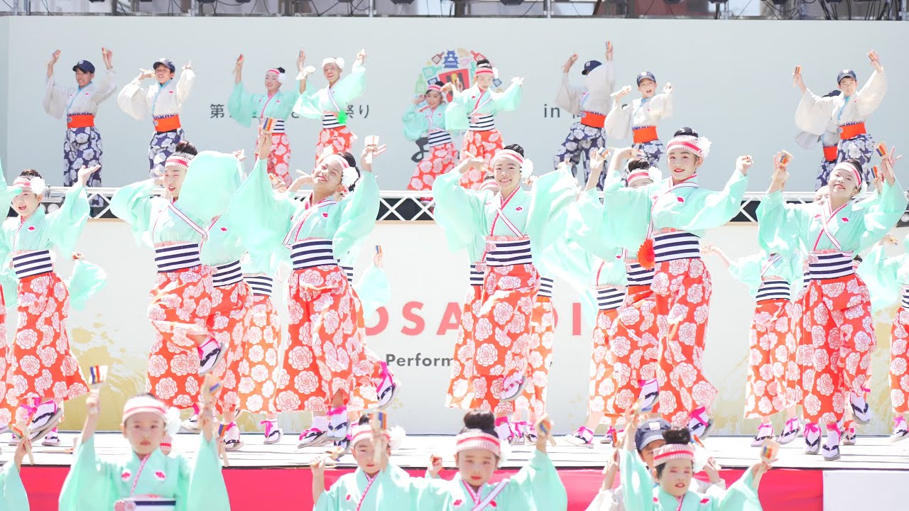 やっこ 4K] ほにやっこ 高知よさこい祭り 2024 本番2日目 (中央) - YouTube