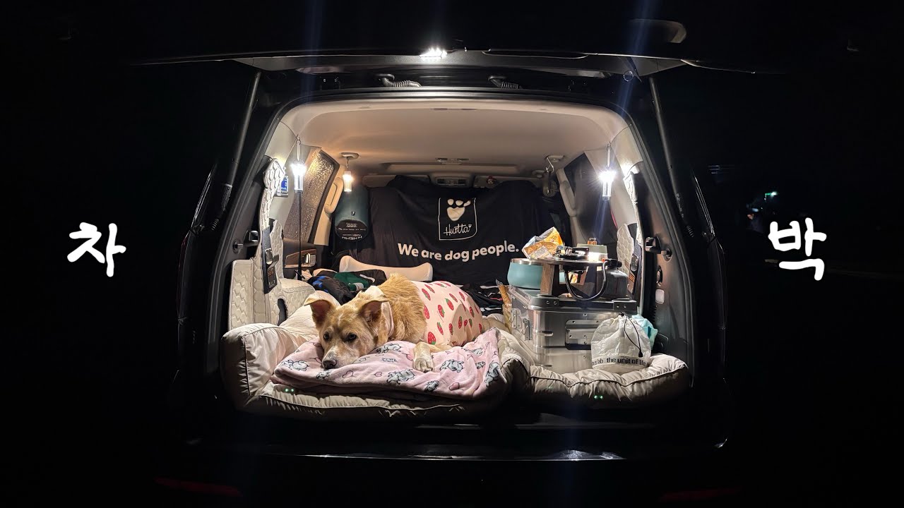 솔로 노지 차박 브이로그 | 모하비 순정 차박