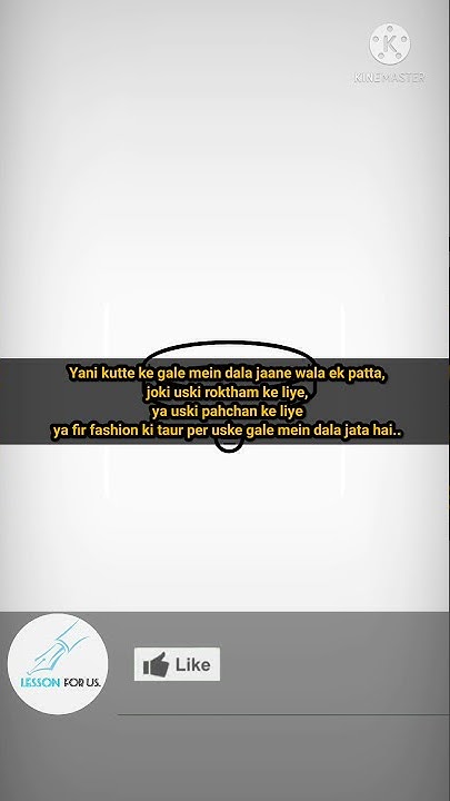 dog-collar-meaning-in-hindi-urdu-dog-collar-pronunciation-dog
