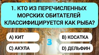 видео: 10 правильных ответов - и ваш мозг в порядке картинка: 10 правильных ответов - и ваш мозг в порядке