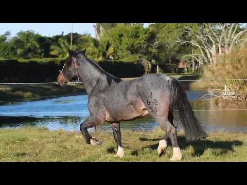LOTE 14 DM - SJ NOVO HORIZONTE