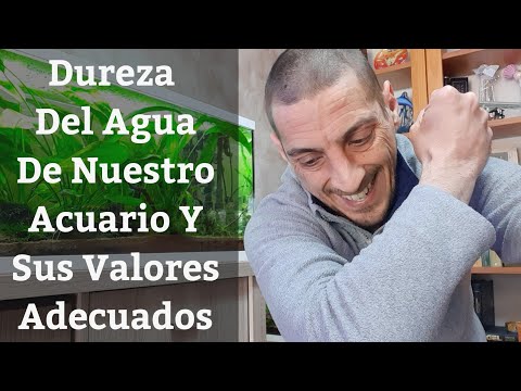 Video: Cómo Determinar La Dureza Del Agua En Un Acuario