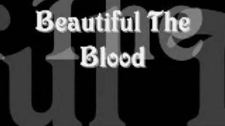 Video thumbnail of "Beautiful The Blood By Steve Fee"