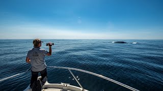 Ballenas azules en las Islas Cíes