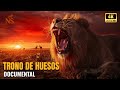 TRONO DE HUESOS | Cuando el Serengeti decide quién VIVE y quién MUERE