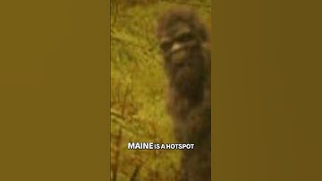 Bigfoot Sightings in Maine: Shocking Footprint Discovery