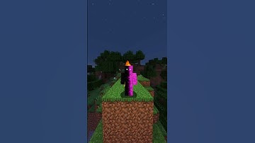 New Minecraft skin
