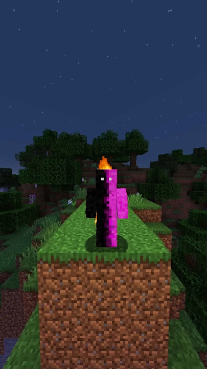 New Minecraft skin