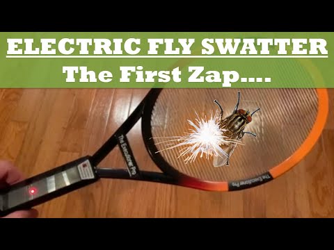 Electric Fly Swatter In Action!