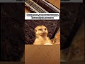 когда только начал играть по нотам #shorts