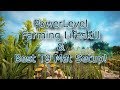 How to PowerLevel Farming & Get The Best T9 Mat System! - Black Desert Online Lifeskill Guide