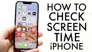 How To Check Screen Time On iPhone screenshot 2