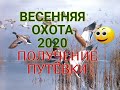 Весенняя охота в Мурманской области 2020 / ШОК при получении путёвки ! ! !
