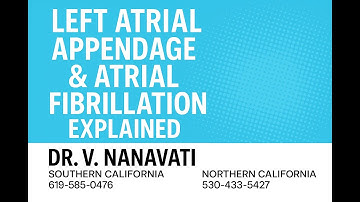 Left Atrial Appendage & Atrial Fibrillation Explained | Stroke Prevention & Treatment Options