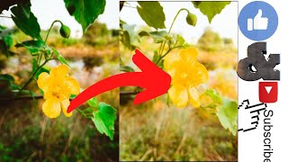 Nature photo editing screenshot 5