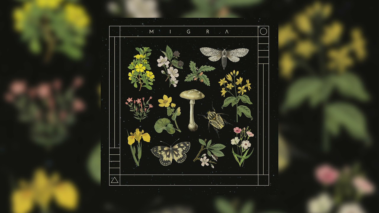 Migra - Salta Montes (Original Mix)