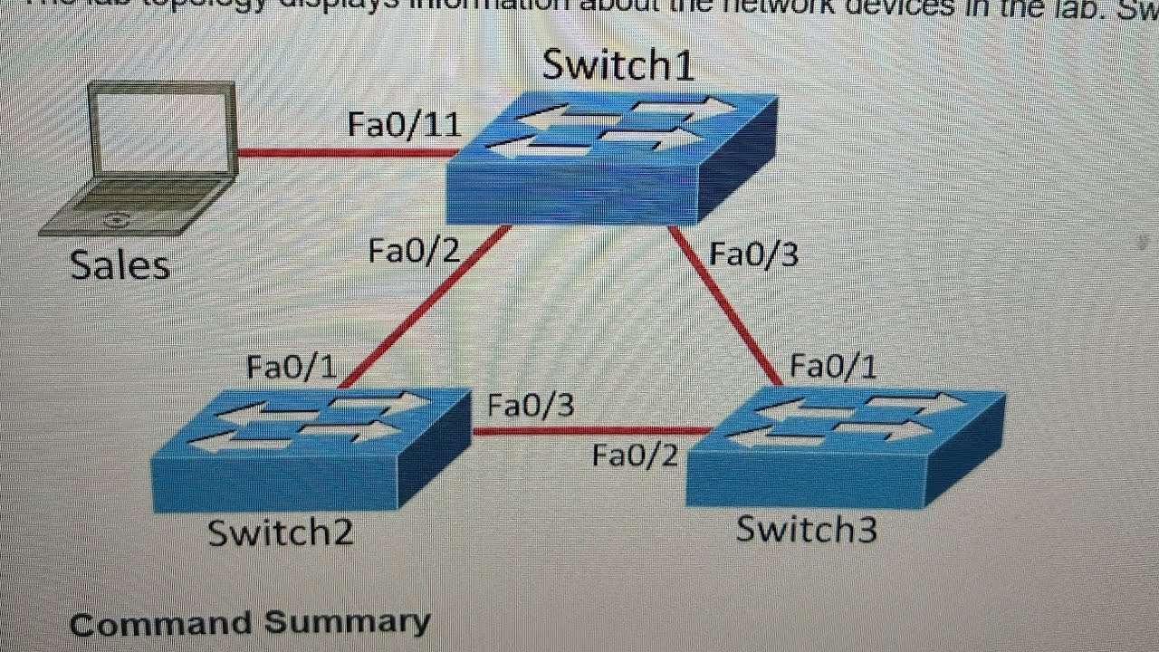 Exploring Spanning Tree Protocol Port Roles Boson NetSim Lab - YouTube