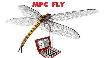 MPC FLY WHAT HAD HAPPENED WAS..
