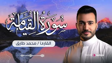 سورة القيامة .. تلاوة تبعث السكينة والطمأنينة | Mohamed Tarek - Surah Al Qiyama