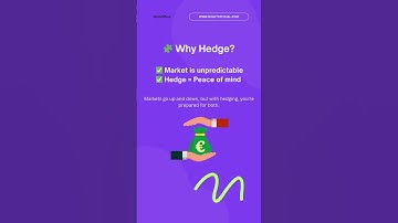 Hedge Explained in 25 Seconds! 💰 (Protect Your Investments)