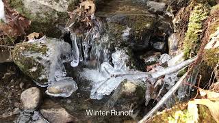 Outdoor Classroom Discoveries