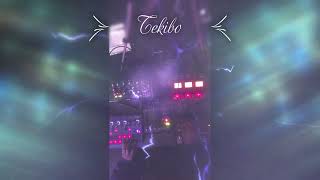 Spacewalker Tekibo