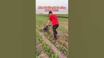 Máy xới đất mini đa năng #máynôngnghiệp #maycatco #maybamco #mayxoidat #nongdan #shorts