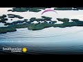 Coastal Restoration and Freshwater Diversions