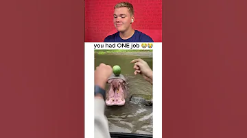 Try Not To Laugh 1191 Funny Viralvideo Shorts 