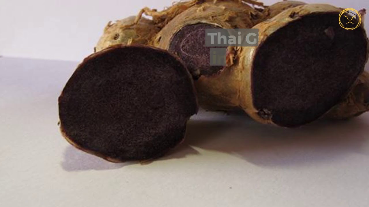 Addictive Wellness Thai Black Ginger for Men, Thai Bahrain