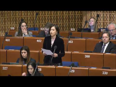 ნინო გოგუაძის გამოსვლა ევროსაბჭოს სხდომაზე - უმცირესობების ენები