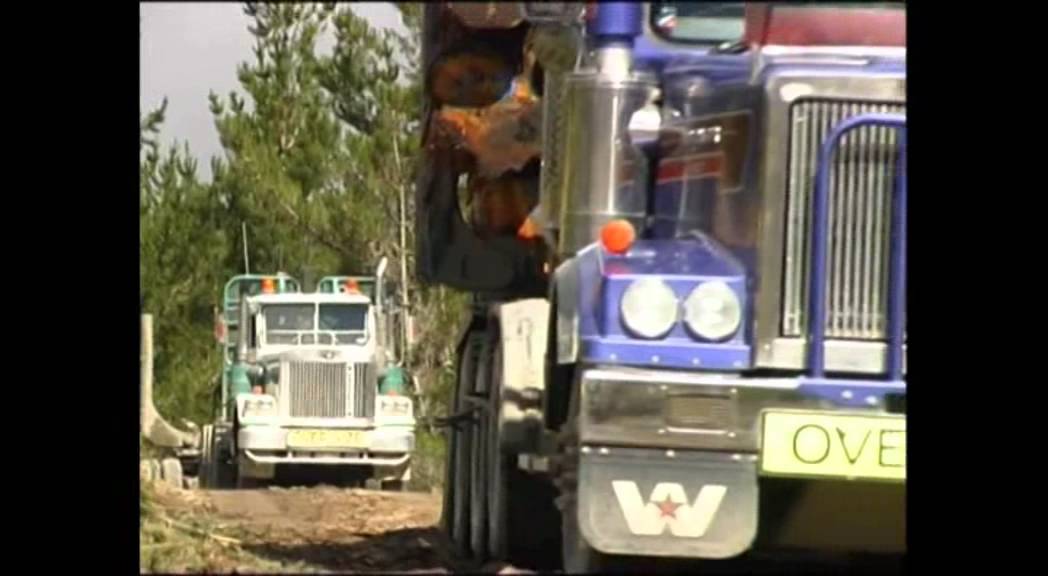 North Island logging.mp4