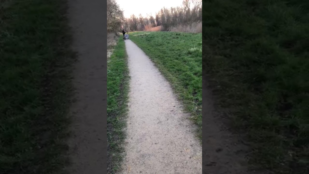 Daisy her first bike ride in the park🌼🚴‍♀️