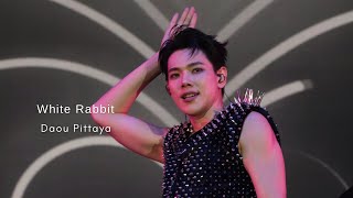 2025.11.01 Monster Music Festival 2025 | Daou Pittaya - White Rabbit