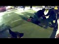 Solano deputy shoots and unloads at armed suspect after shooting at police dog