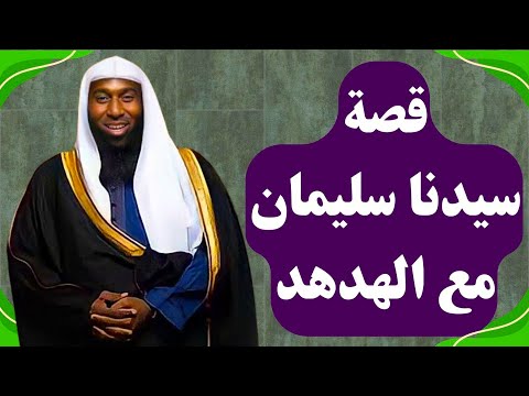 قصة سيدنا سليمان عليه السلام مع الهدهد من أعجب القصص الشيخ بدر المشاري