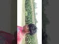 💚☹️🌺💝❤️🫤💝😊🤤😶😝😋😝😝☺️😚🌹💚❤️😔💔🌹🖤💔😔😔🌹🌷🥰♥️🤣💓🌹❣️💔🖤🖤🖤🖤🖤