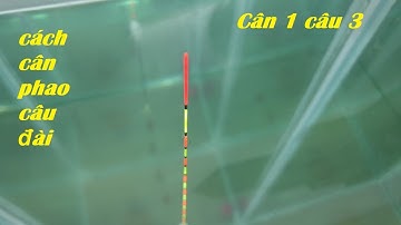 Hướng dẫn cân phao câu đài cân 1 câu 3 săn hàng trị cá nhát