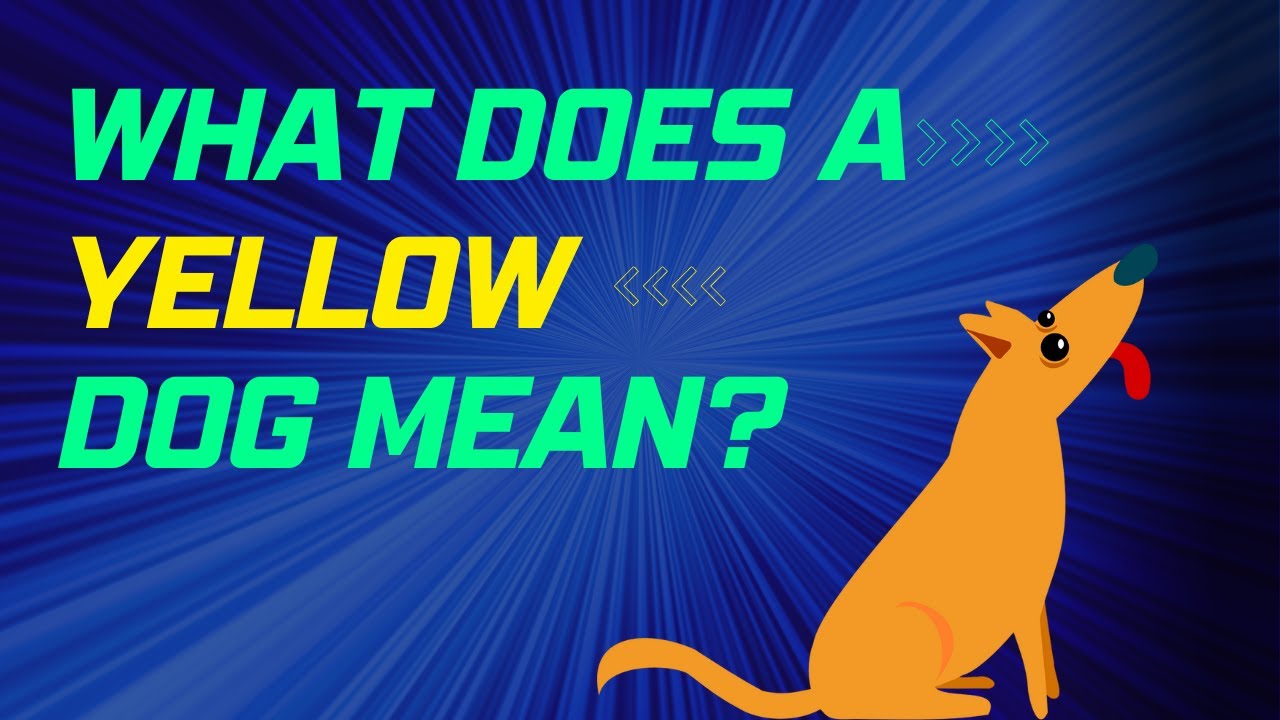 What is the yellow dog scheme?