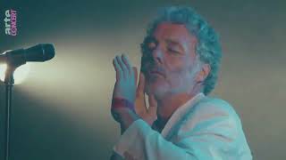 Baxter Dury - I&#39;m Not Your Dog (Subtitulado)