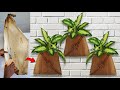 Amazing Wall Hanging Plants Ideas / Diy Flower Pot Ideas