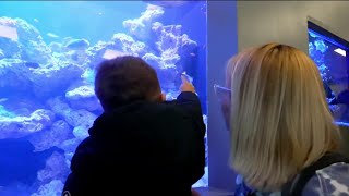 Atlantic City Aquarium reopens after closed 5 years for multimillion-dollar makeover