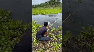 Amazing Hook Fishing in River #fishing #hookfishing #shorts