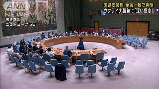国連安保理　ウクライナ情勢に「深い懸念」初の声明(2022年5月7日)