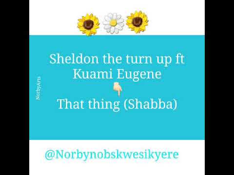 Sheldon the turn up ft Kuami Eugene  That thing video lyrics